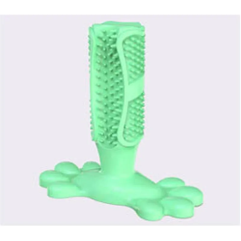 Rechargeable Wireless Pet Camera